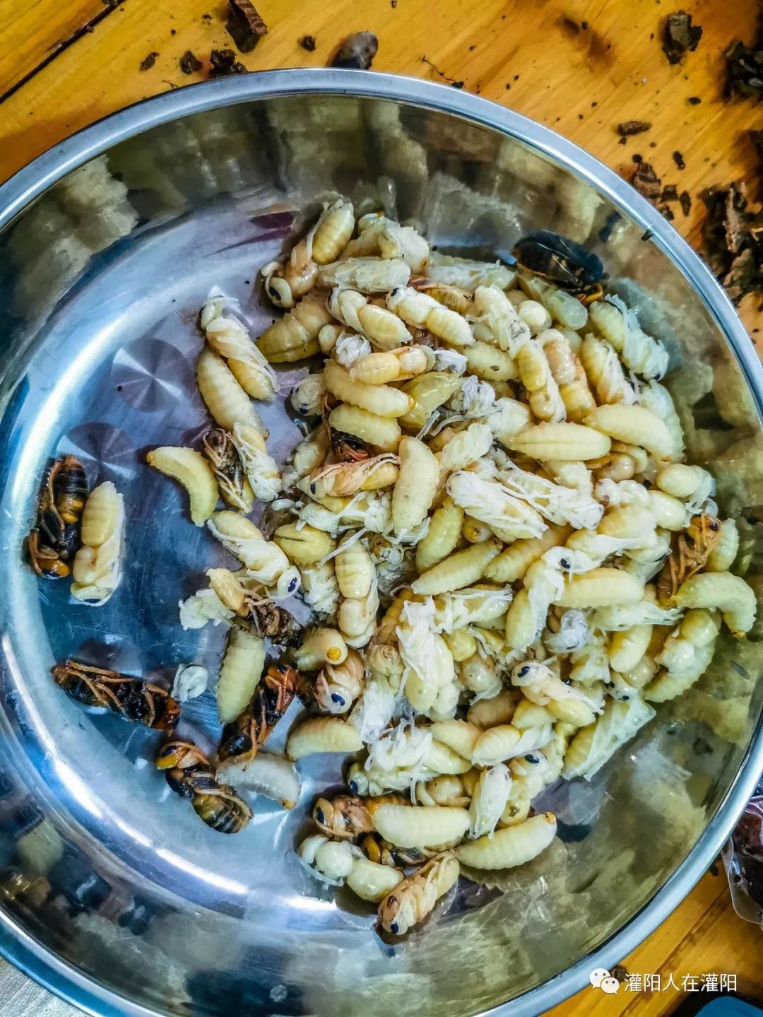 世上最美味的美食,世上的美食有千百种