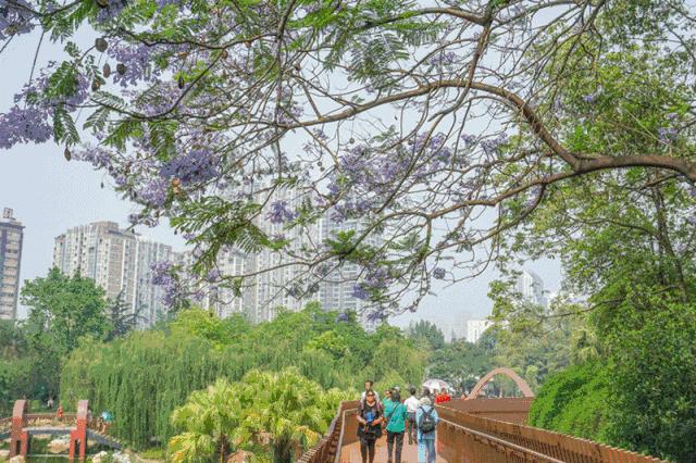 成都旅游景点免费门票,成都周边好玩的地方景点免费