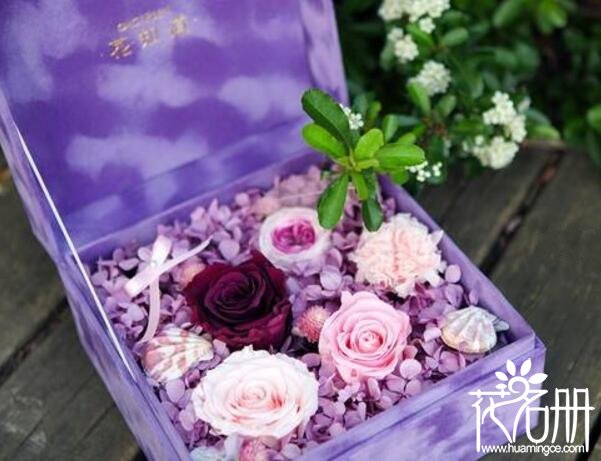 永生花有哪些,永生花是通过什么工艺永远不凋谢