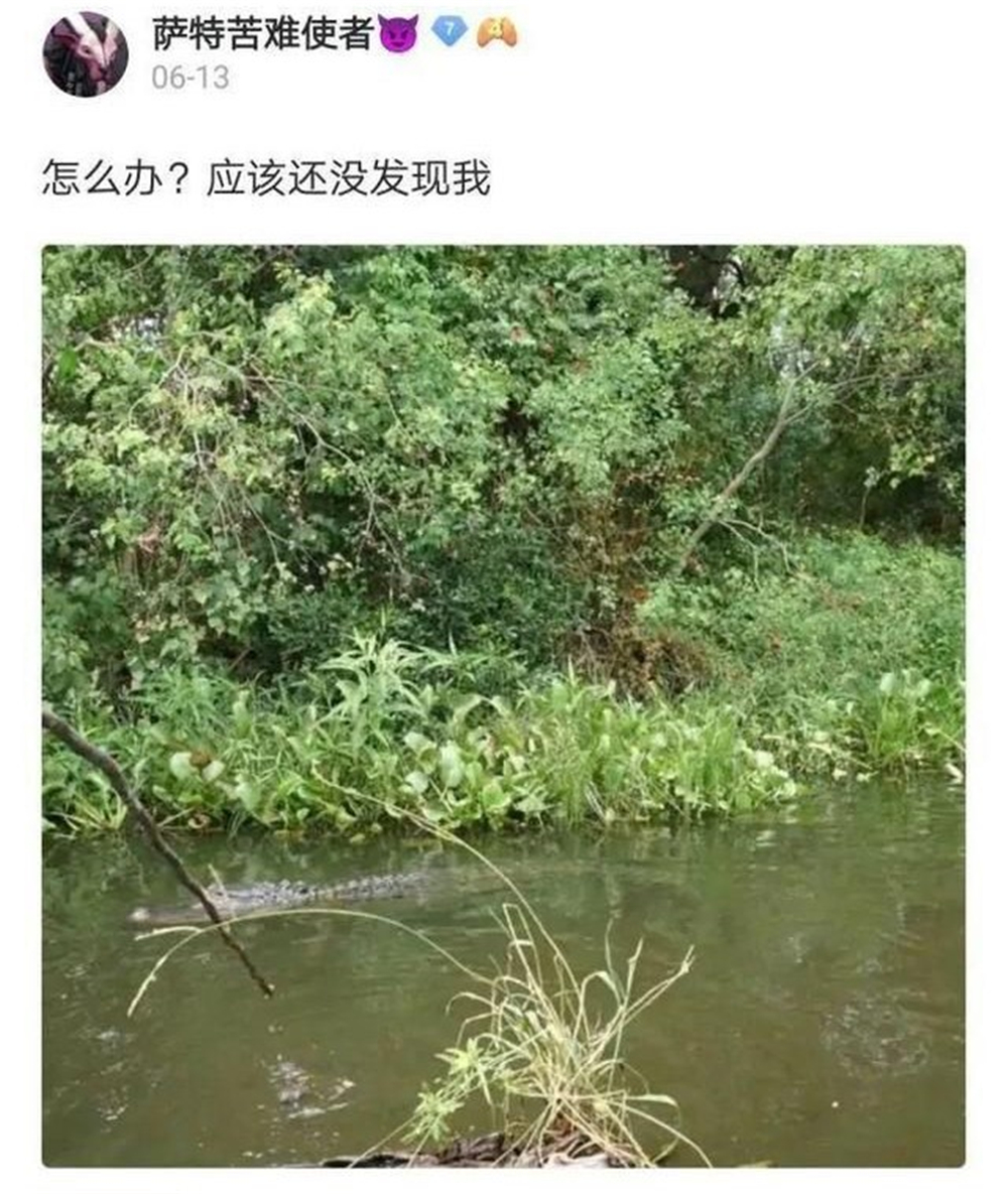 文能提笔安天下武能握枪保家国,文能提笔安天下武能挥刀治国家