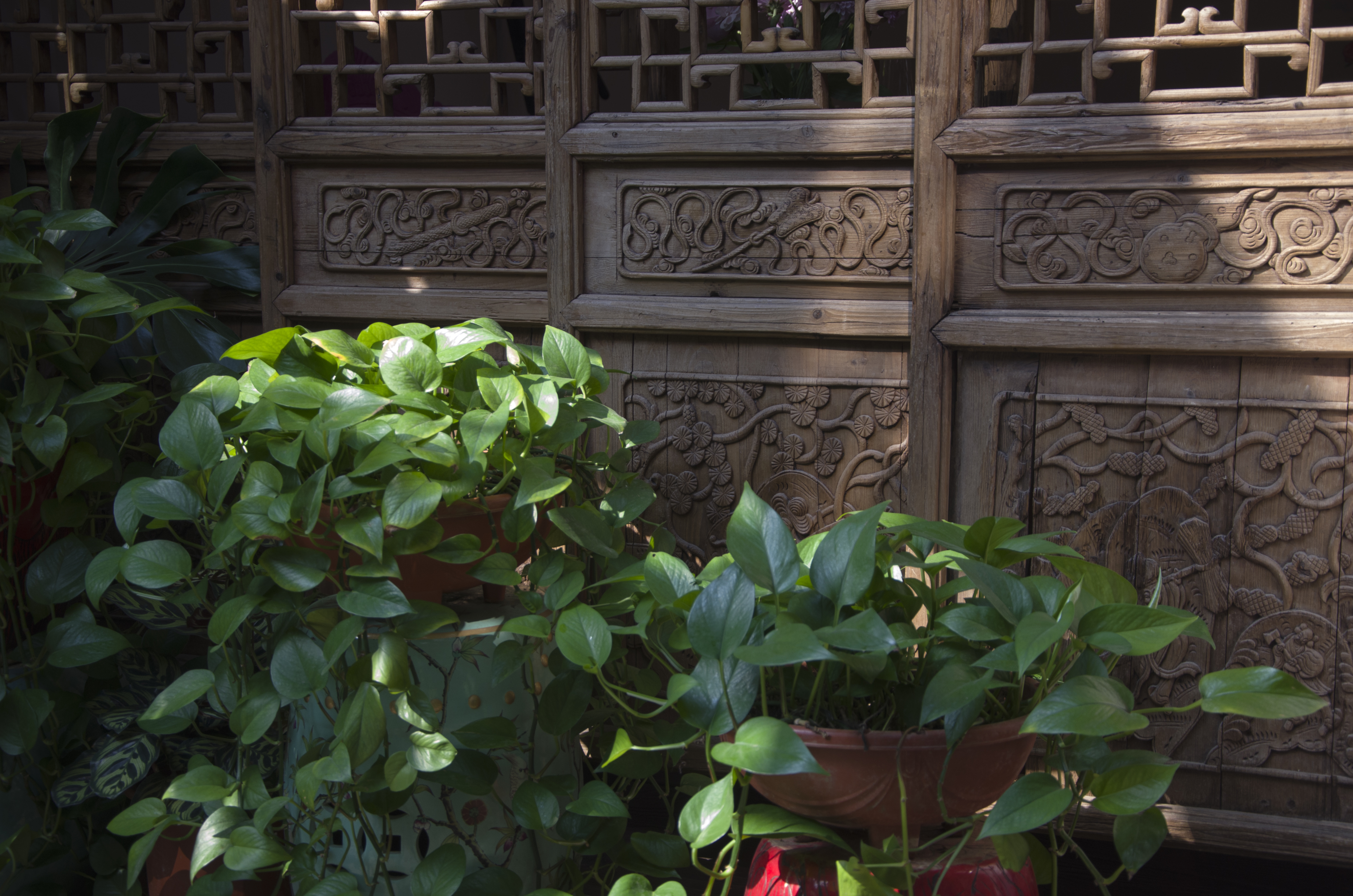 大隐于市的DeepRed深红别院，岁月静好