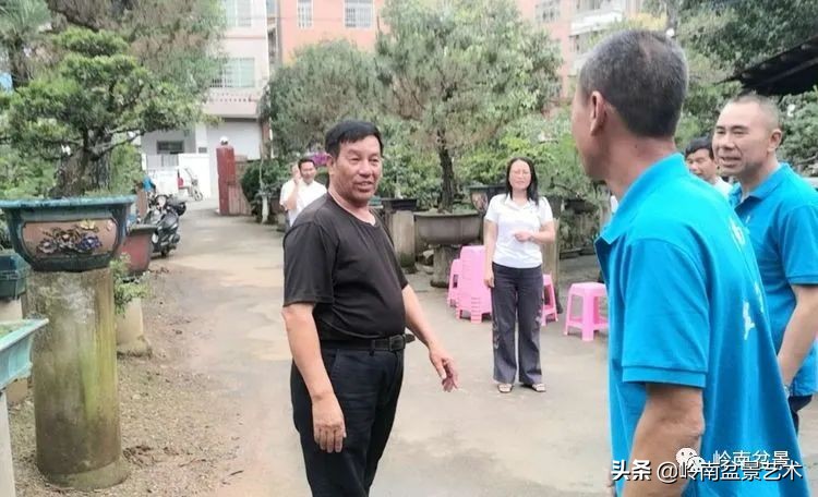 广东的盆景有哪些,适合广东玩的盆景