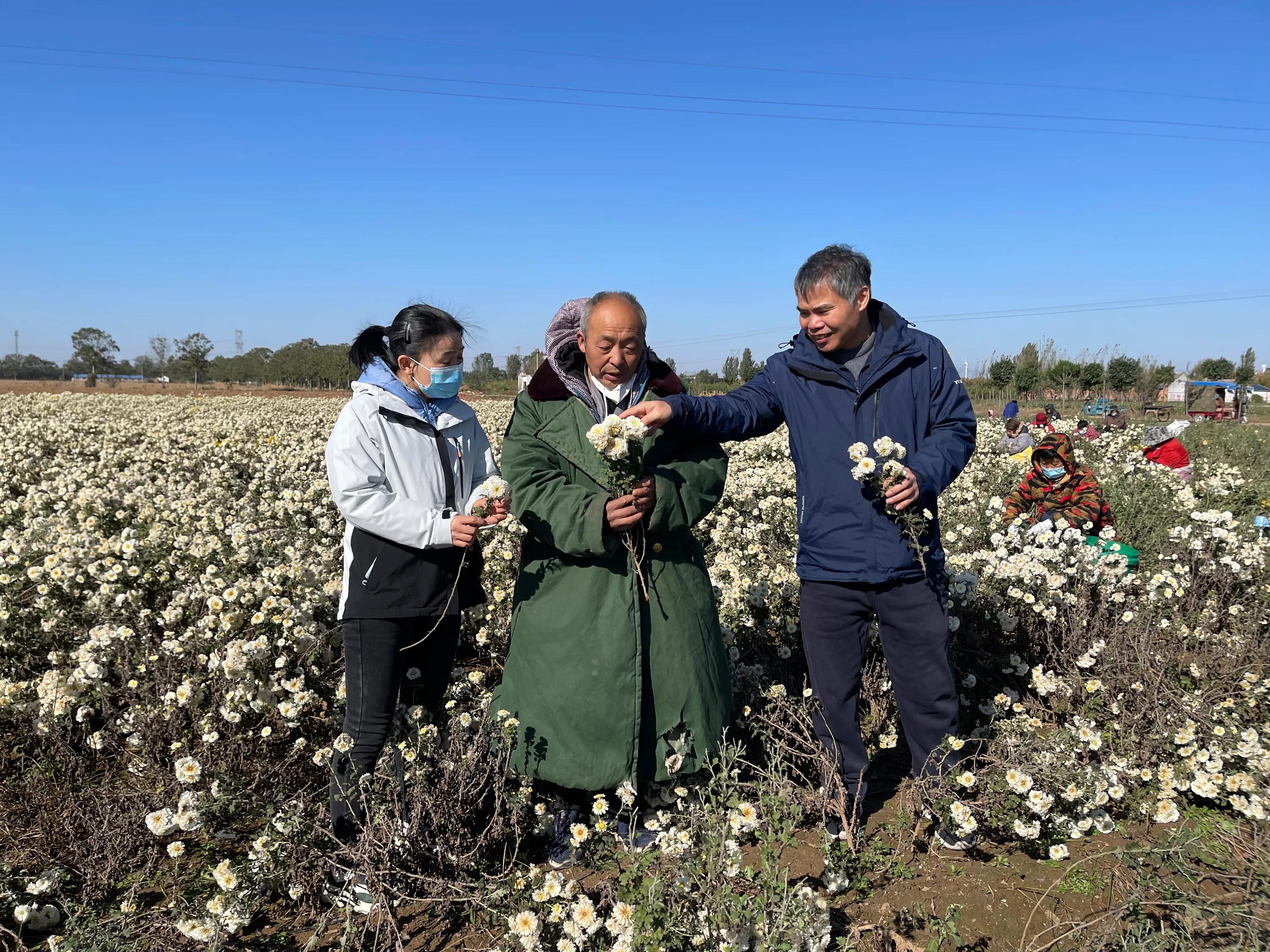 农业新品种新技术推广的意义,新型农业防病虫害技术