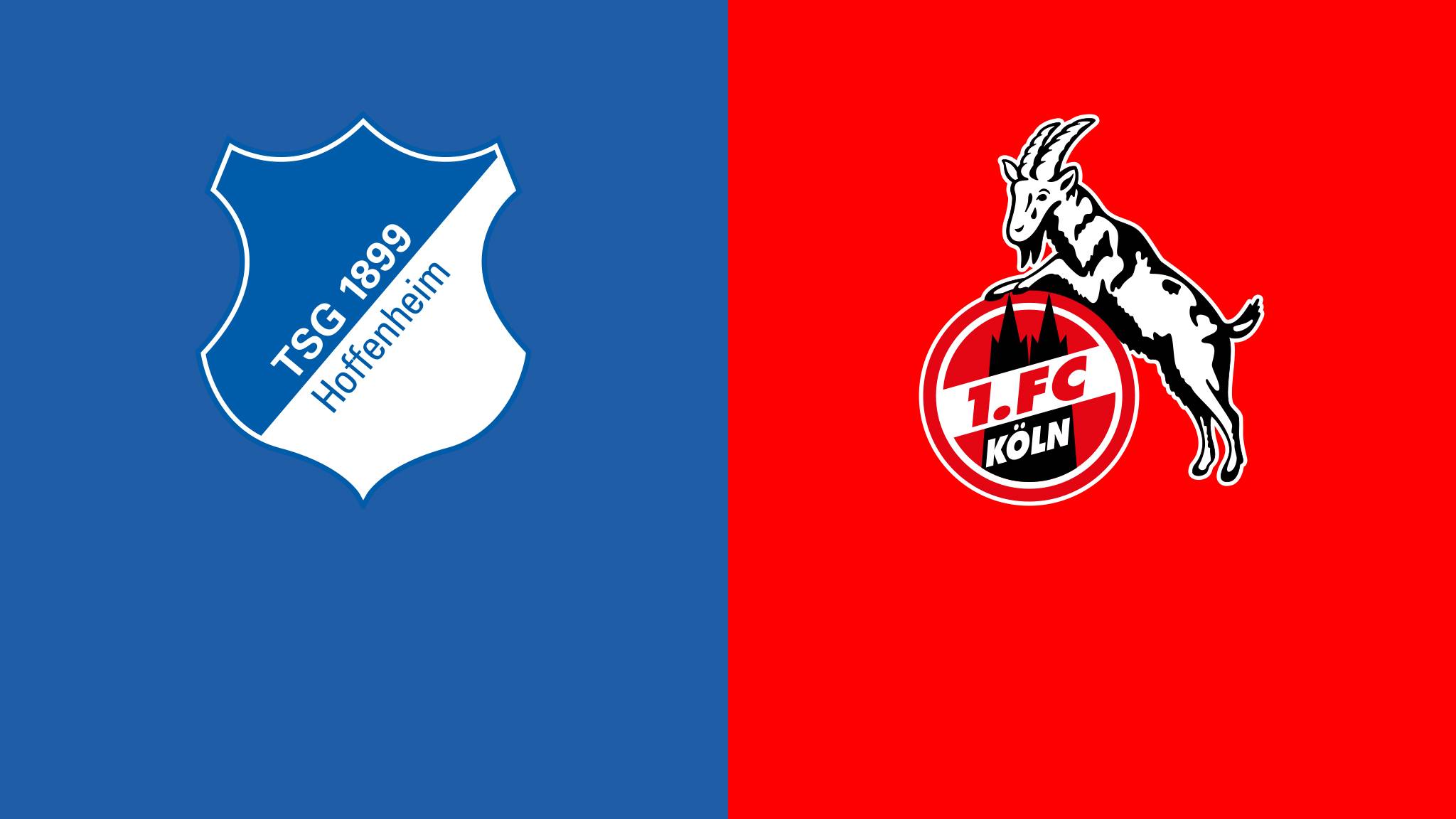 德甲霍芬海姆vs沙尔克,德甲霍芬海姆vs柏林赫塔比分预测