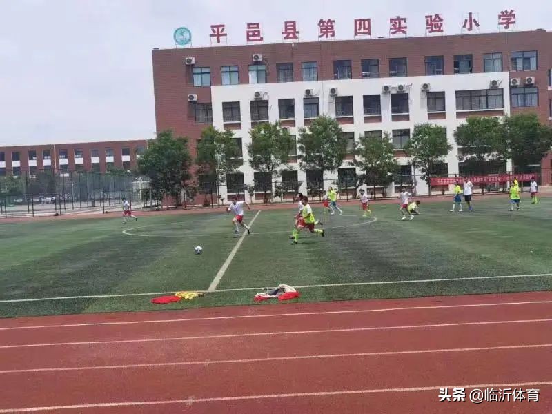 我为群众办实事志愿服务活动,我为群众办实事篮球活动方案