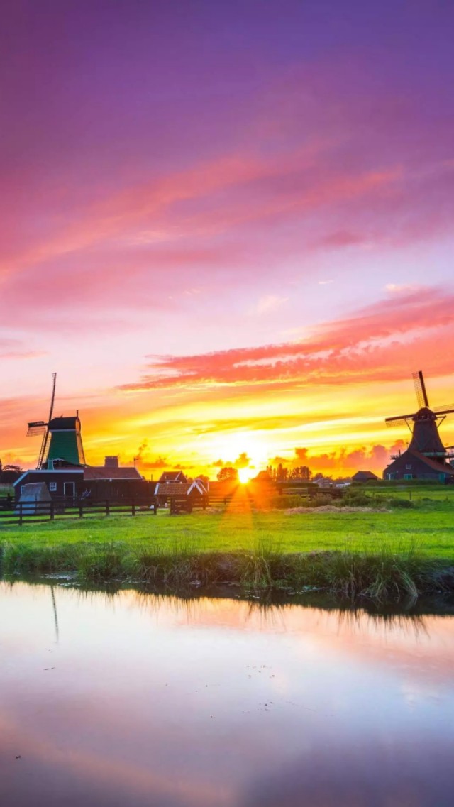 风车壁纸动态壁纸高清全屏90帧,努力赚钱吧手机壁纸图