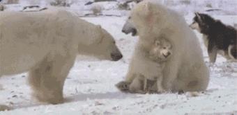 最新防割韭菜套路骗局揭秘,揭秘骗子那些割韭菜套路