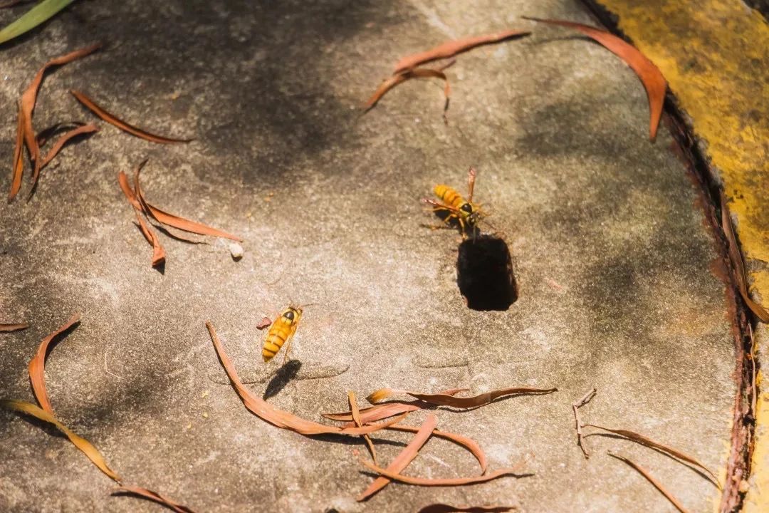 深圳各区最美的地方,深圳6个绝美地方