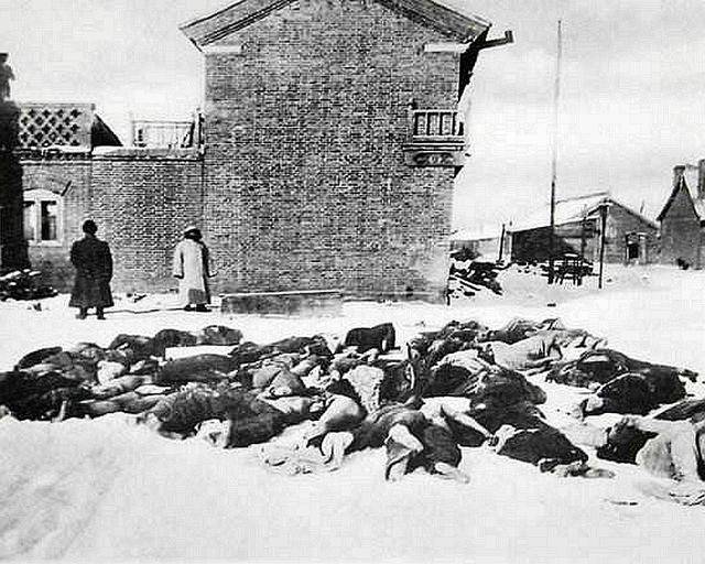 钟南山抗肺炎的事迹,钟南山被称为抗疫之父对吗