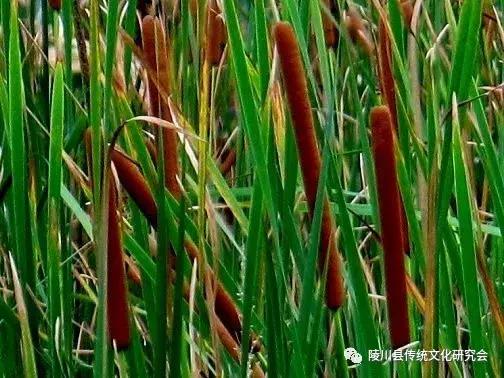 晋城陵川“蒲水”：这里是神仙住的地方