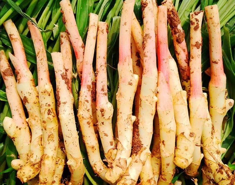 酸坛子怎么泡又脆又香,桂林酸坛子配什么吃