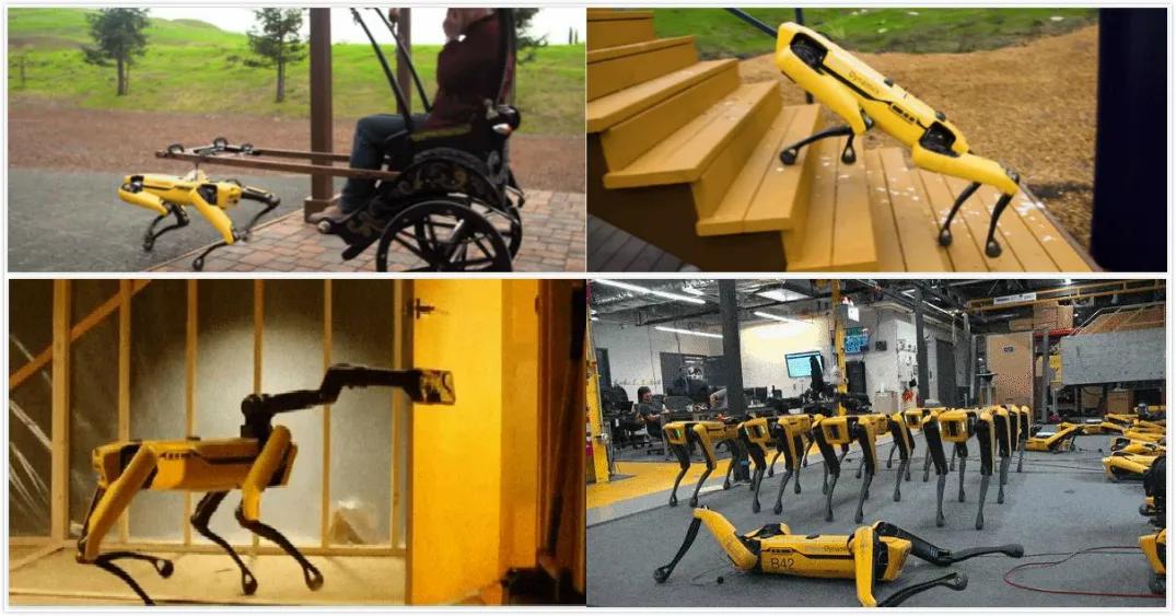 网红机器狗多少钱一台,网红爆款智能机器狗