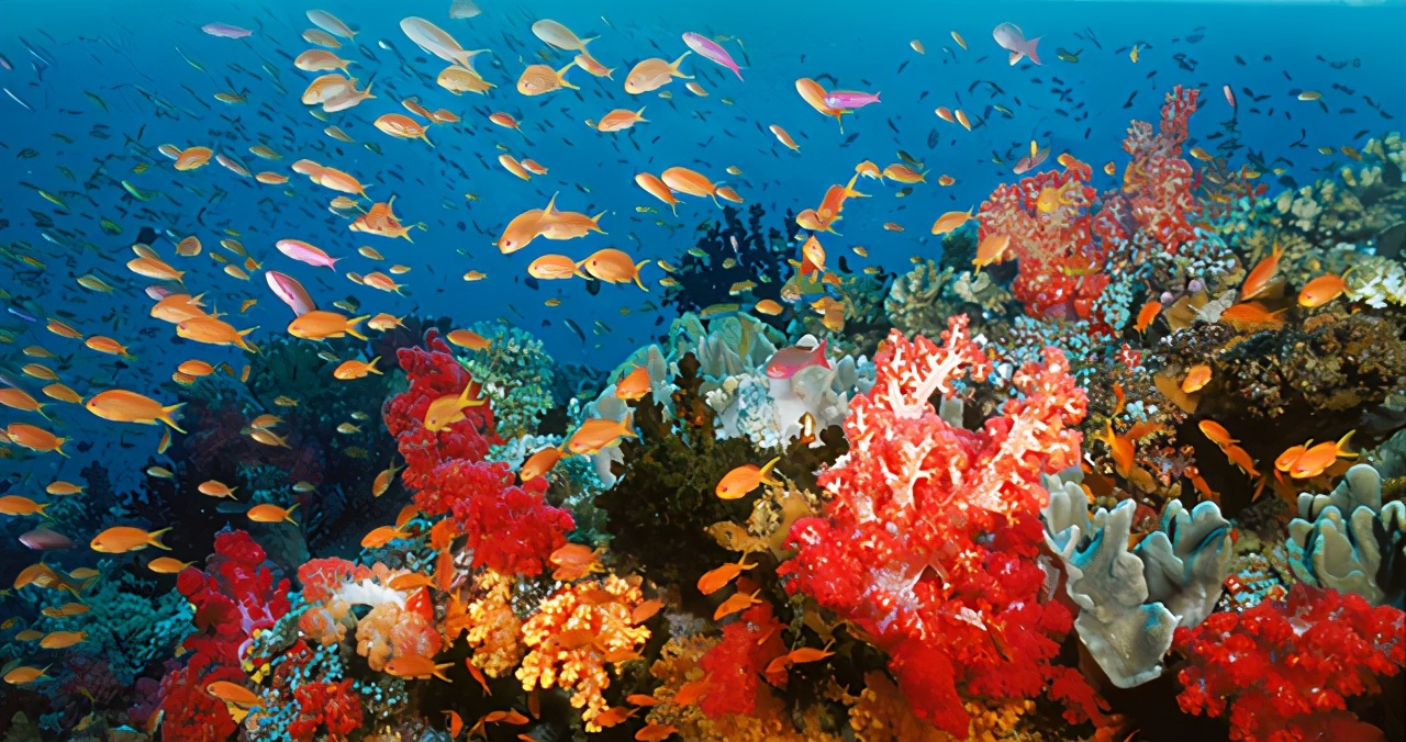 中国东海“桥头堡”：美日不断挑衅的*鱼岛钓**，到底有何战略价值？