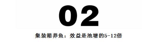 大型农场建造,家庭农场可以放置集装箱做民宿