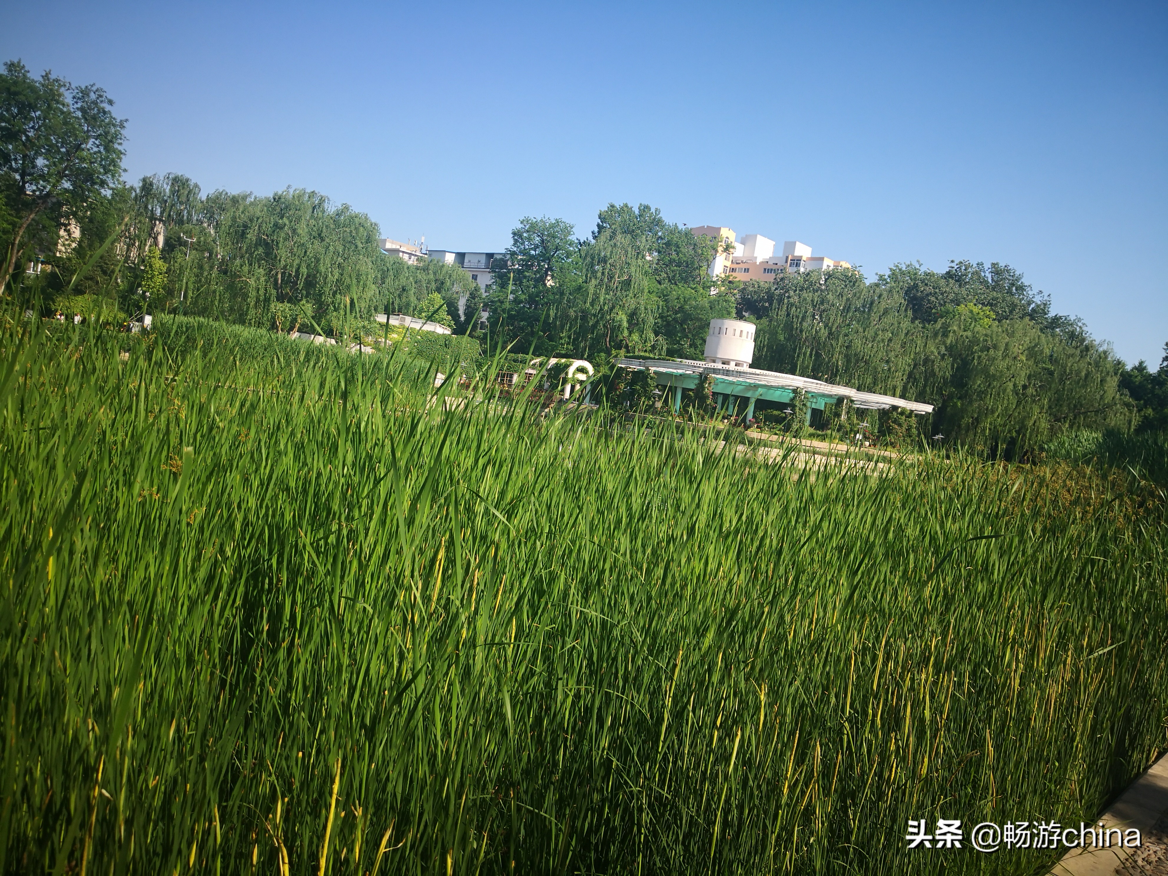 北京人定湖公园旅游攻略,人定湖公园跑道