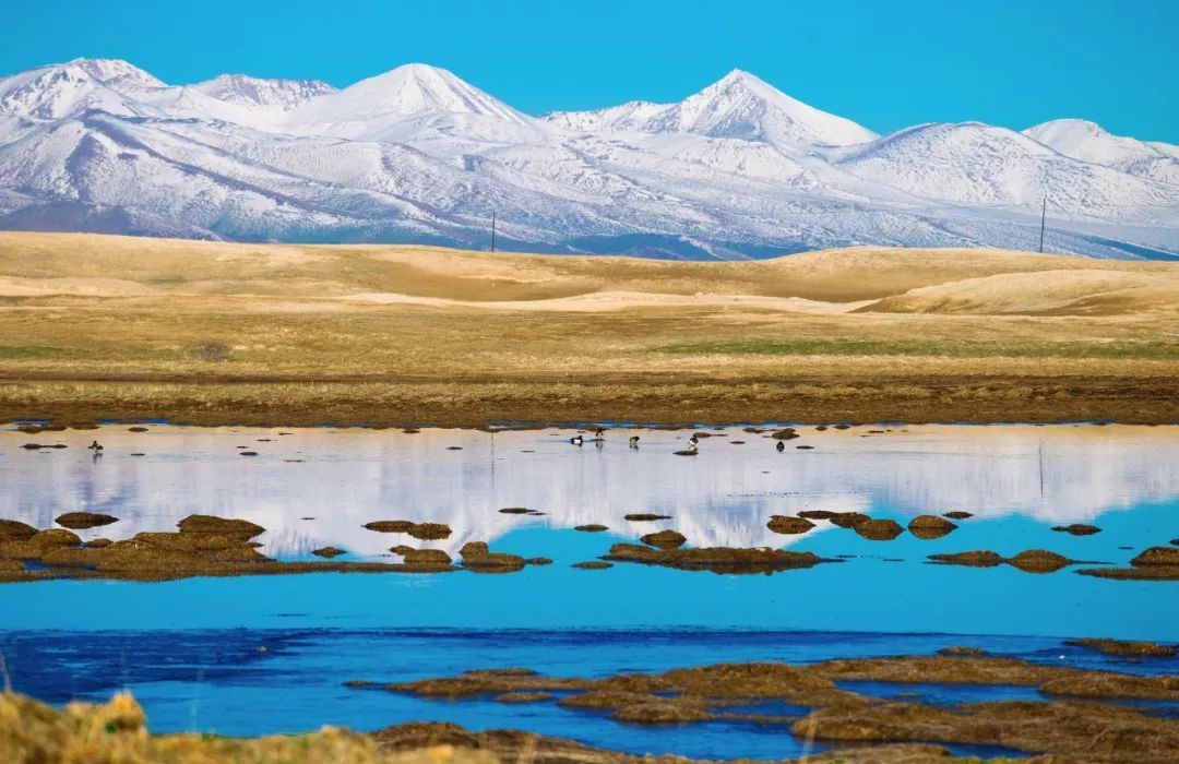 涓嶈兘鍘诲鍦扮殑鐞嗙敱,浜旂浜轰笉鑳藉幓鐤嗗唴鏃呮父