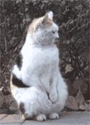 刘飞儿为甜品店研发新品，以身试“毒”上吐下泻