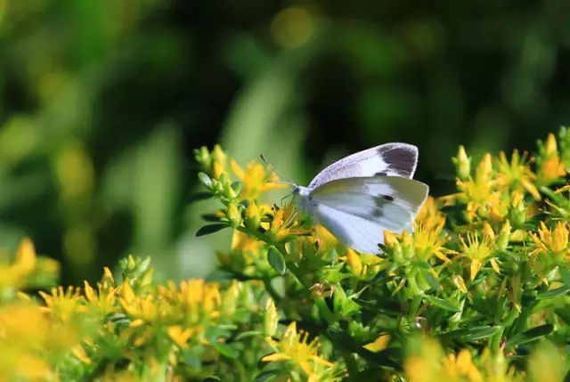 北京房山团建踏青地点推荐,北京房山春季旅游最佳去处