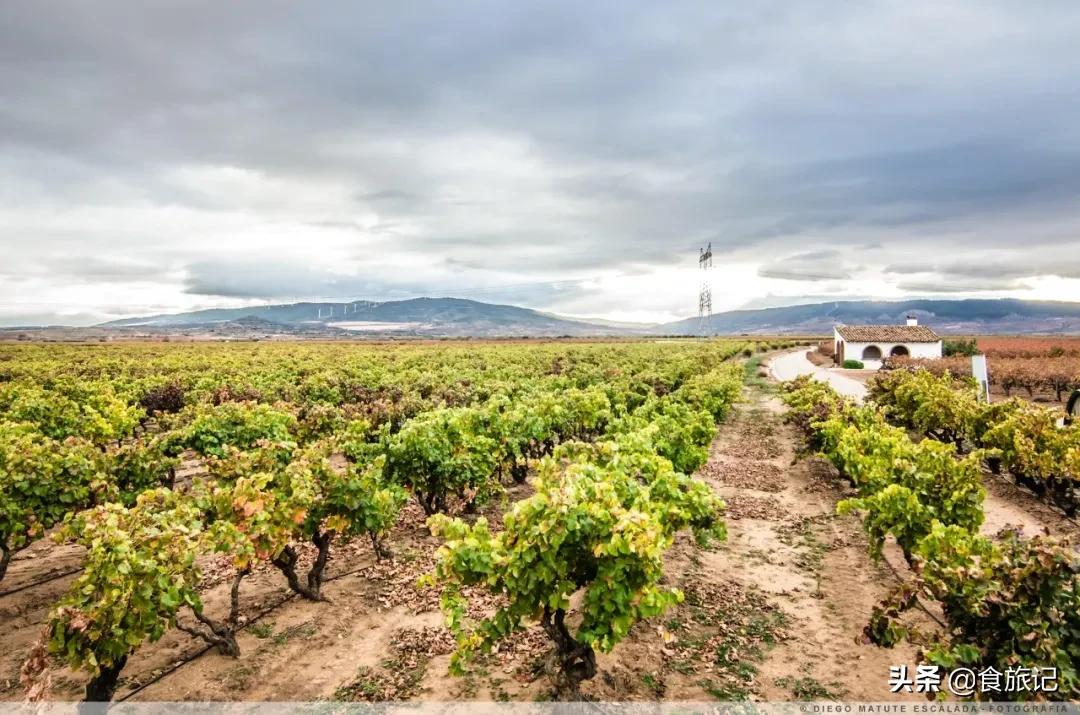 几十块钱的红酒是真的葡萄酒吗,长城干白葡萄酒几十块钱能喝吗