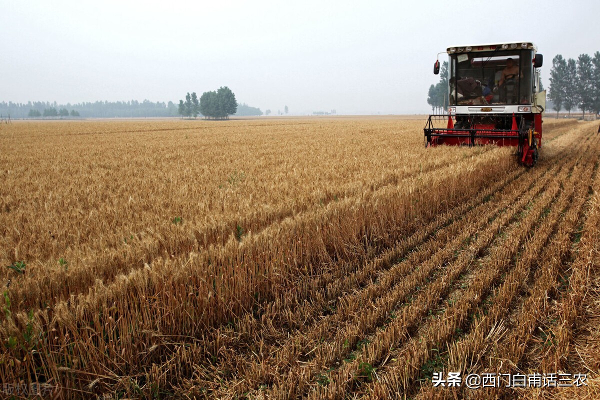 种粮大户租一亩地需要多少租金,安徽淮北种粮大户每亩租金补贴