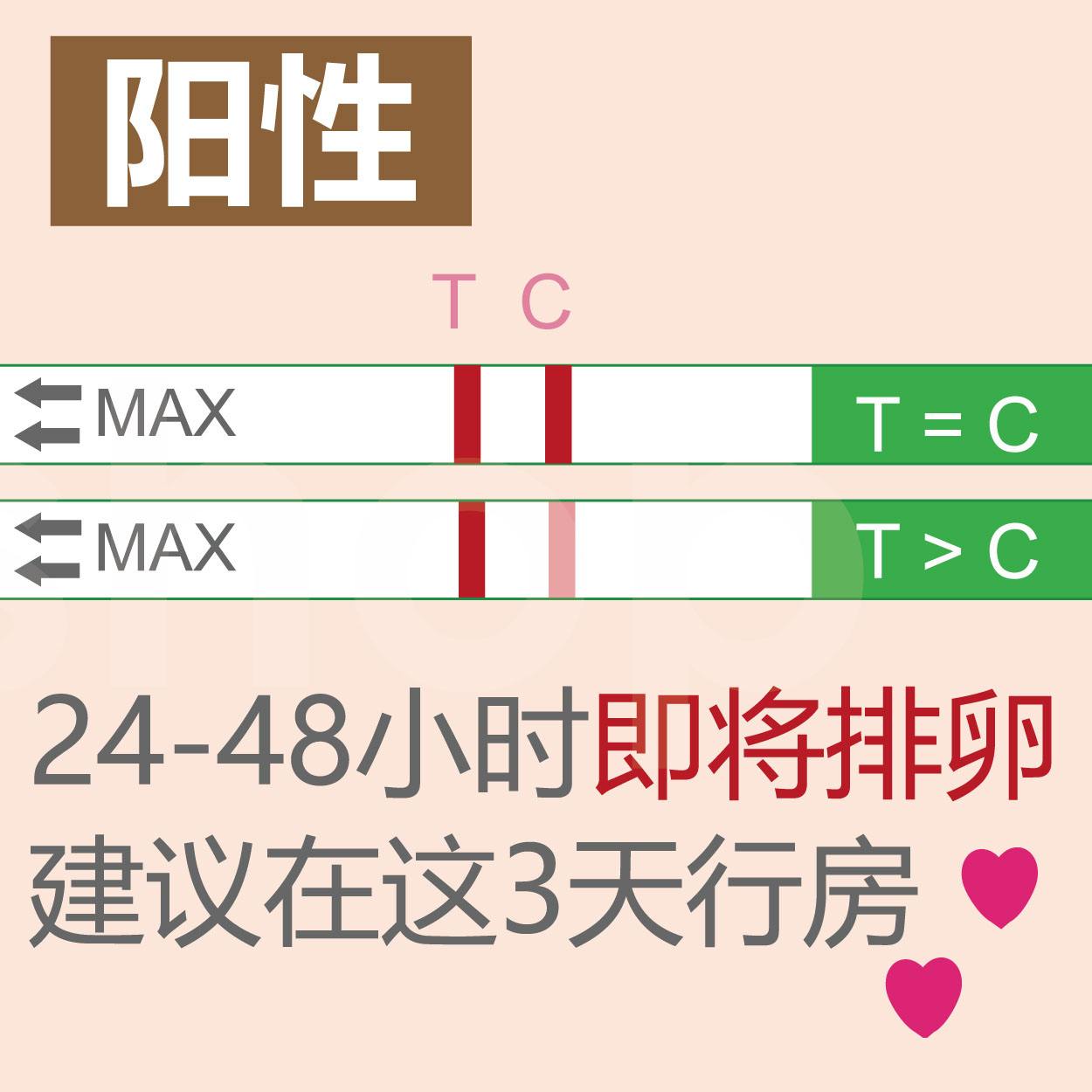 排卵期可以按压输卵管吗,排卵期能摸手吗