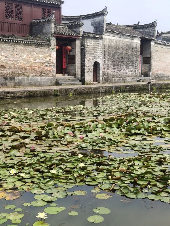 桂林江头洲古村落门票,广西桂林江头古村