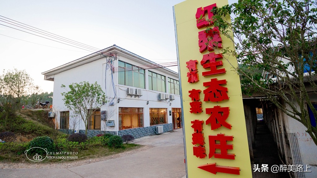 暖暖广东｜马市小吃文化节，红梨缤放新活力