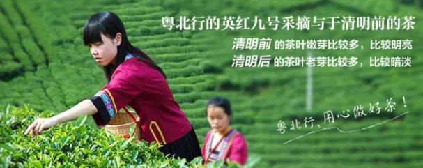 英德宝晶宫天鹅湖温泉酒店好玩吗,英德宝晶宫天鹅湖温泉酒店别墅