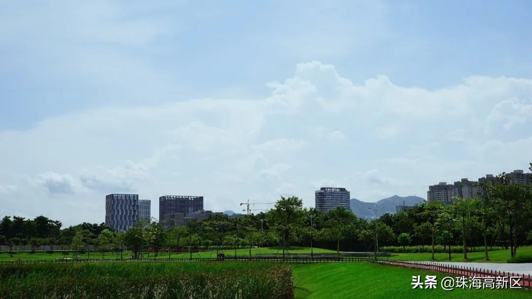 开市啦完整视频,开市啦生鲜早市特惠商品播报