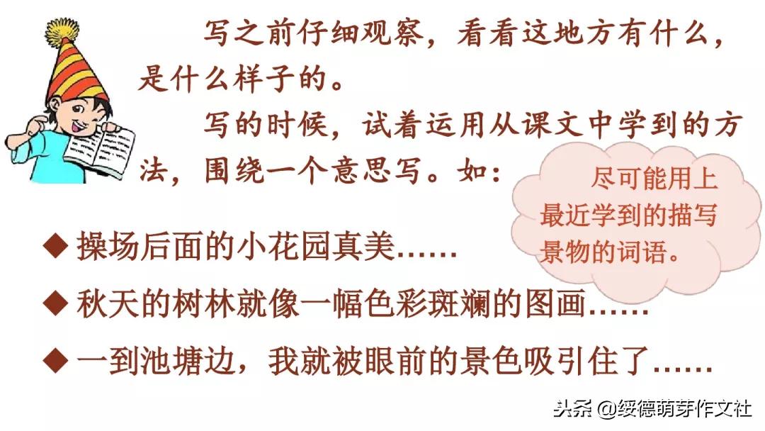 三年级上册语文这儿真美作文200字,三年级上册语文习作这儿真美