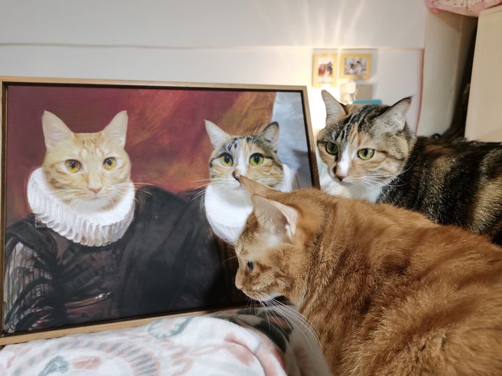 测试情侣默契度的问题 (怎么测试情侣之间有没有情侣值)