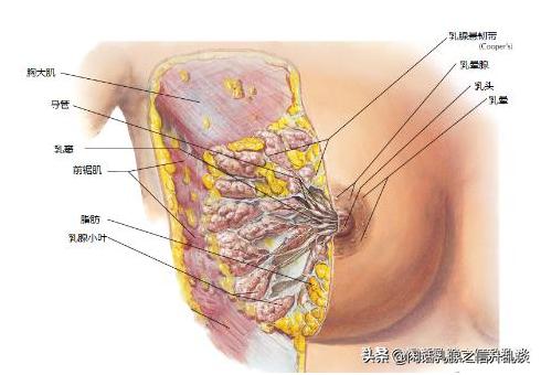 好好的neinei为啥要按摩？