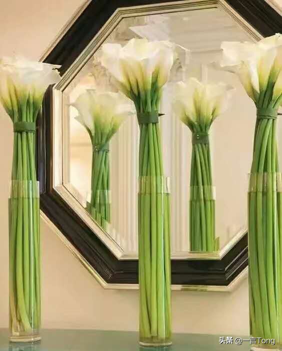 高贵雅致马蹄莲,高贵优雅马蹄莲永生花