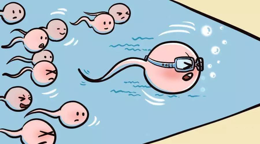 新手爸妈备孕全攻略,奶爸备孕笔记