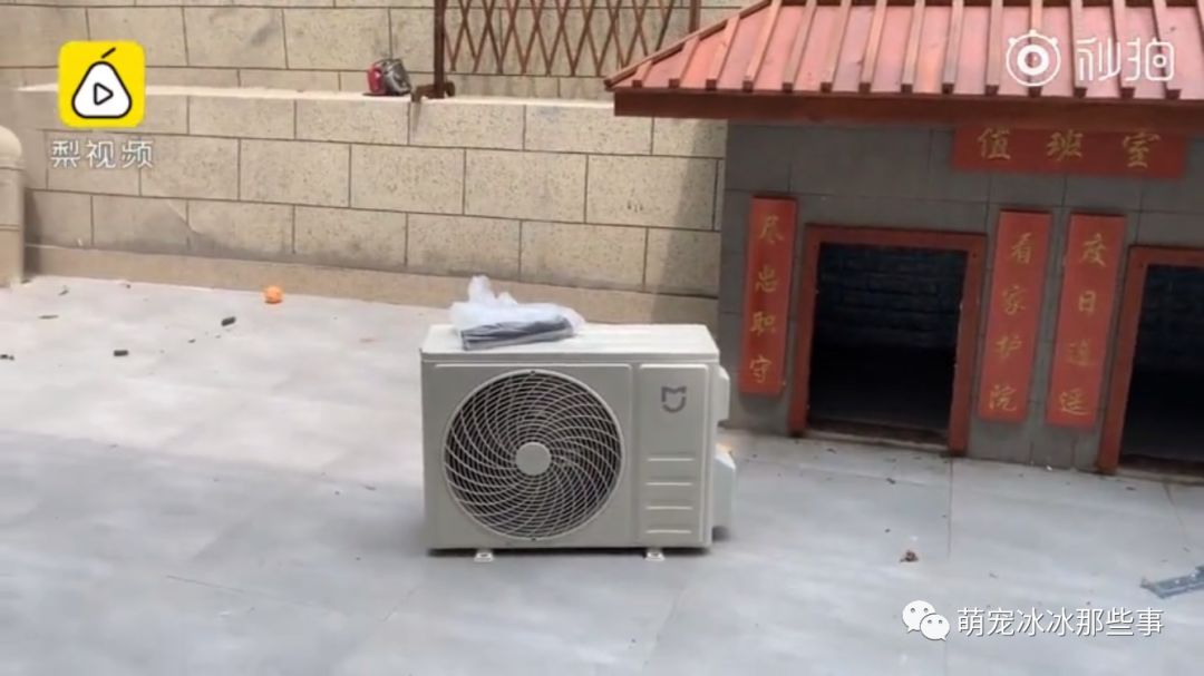 主人花30万打造的豪华狗窝,全网最土豪狗窝