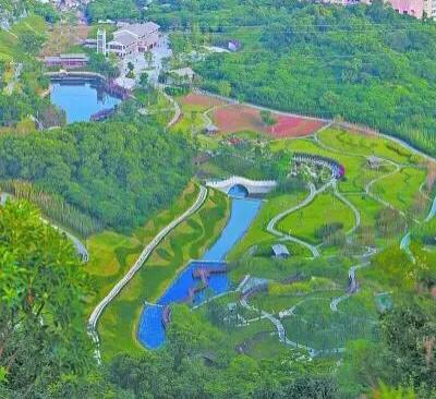 深圳花海公园推荐景点有哪些,深圳花海公园地址在哪里