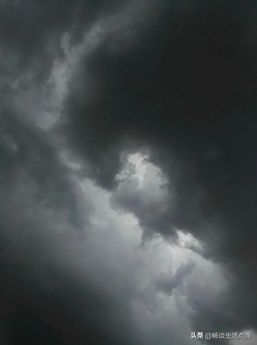 重阳节阴天有啥意思,重阳节的俗语有哪些