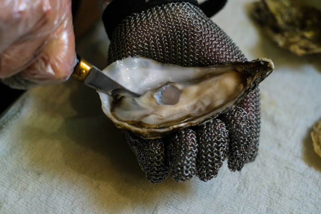 吃中国蚝的好处,吃蚝必选之地