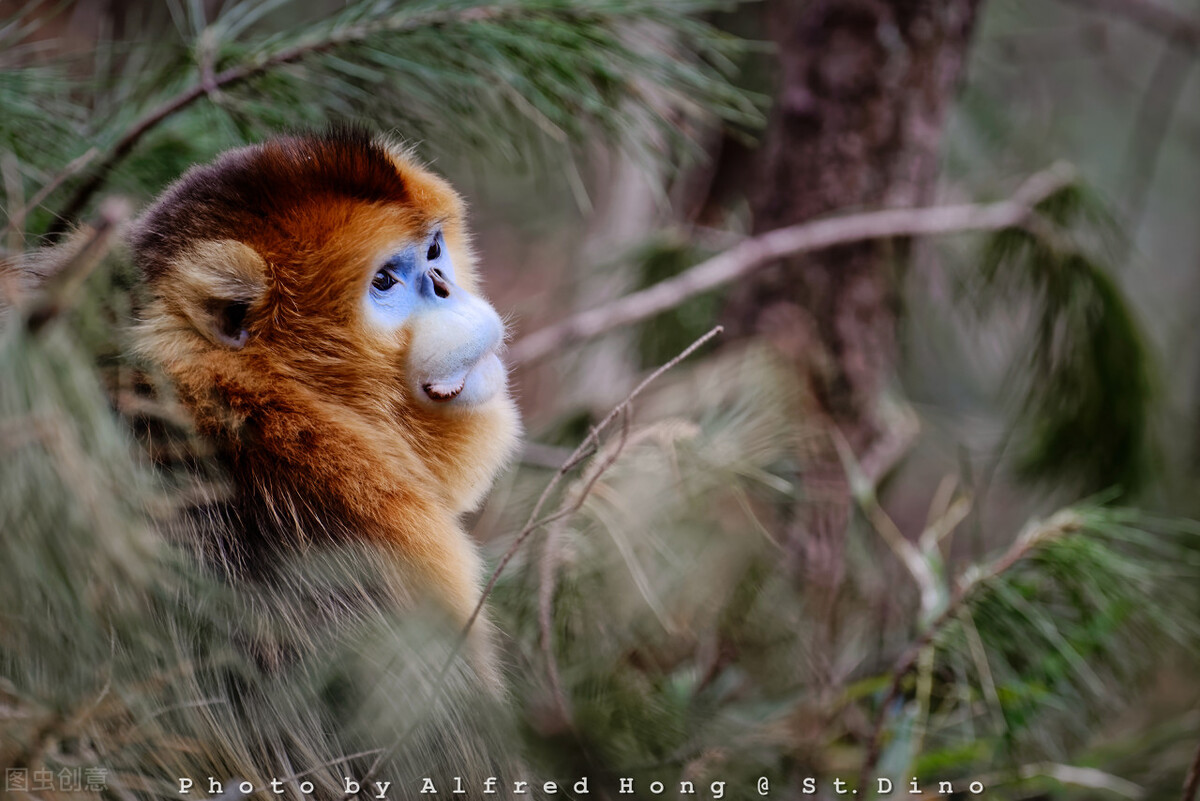 汉中地区十大景区排名,汉中景区排名前十名