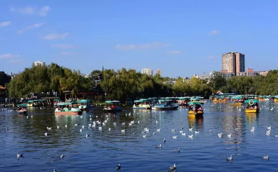 昆明主城区租房,昆明市各区租房价格表一览