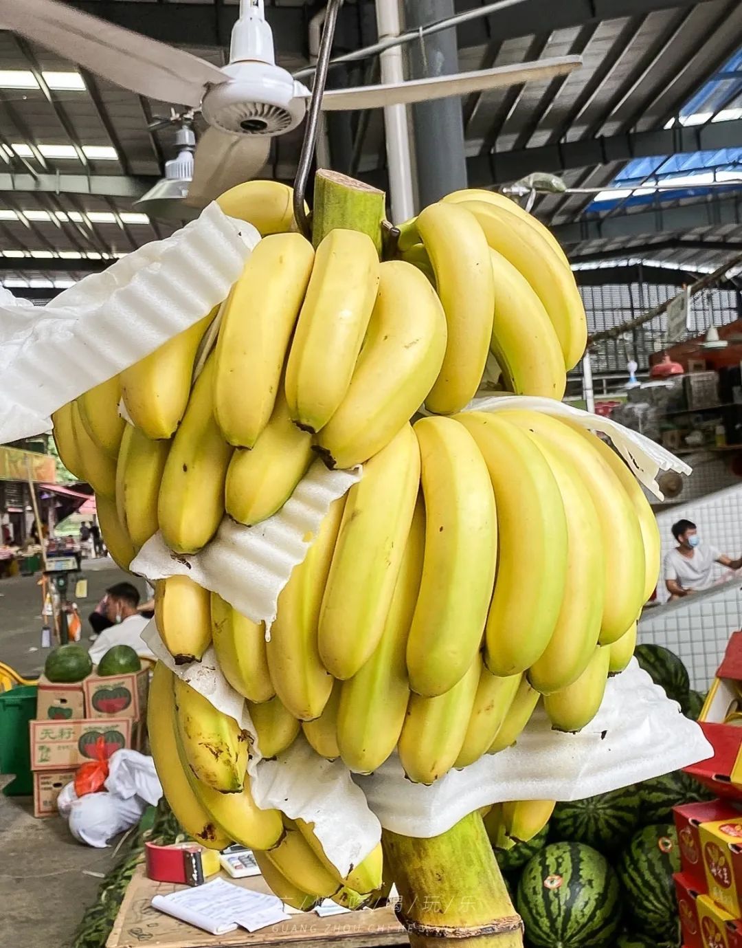 地铁坐到水果市场附近,广州天平架水果市场