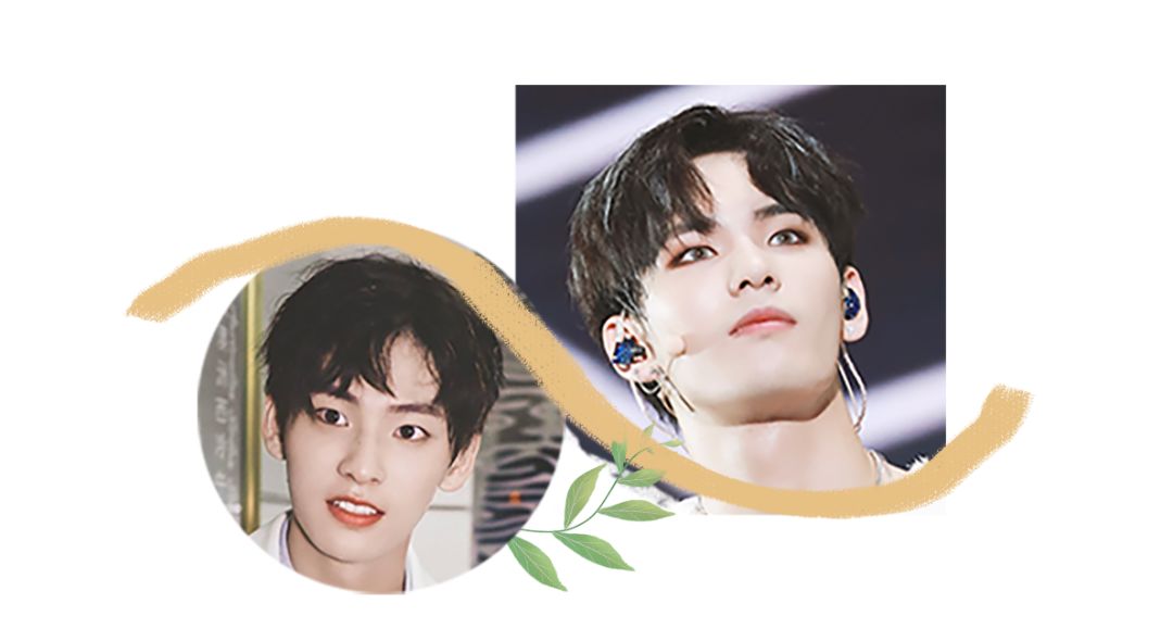 爱豆高颜值眼妆pick,被爱豆pick的眼妆