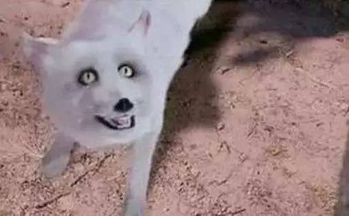 豆瓣评分9.2以后怎么样了,豆瓣评分9.5以上2019