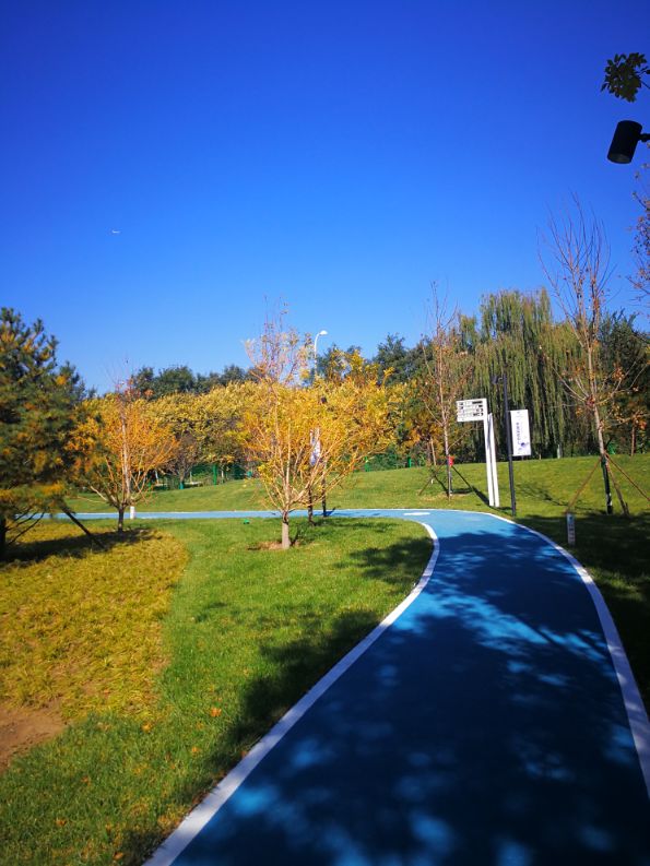 廊坊三叶公园项目信息,廊坊三叶公园附近