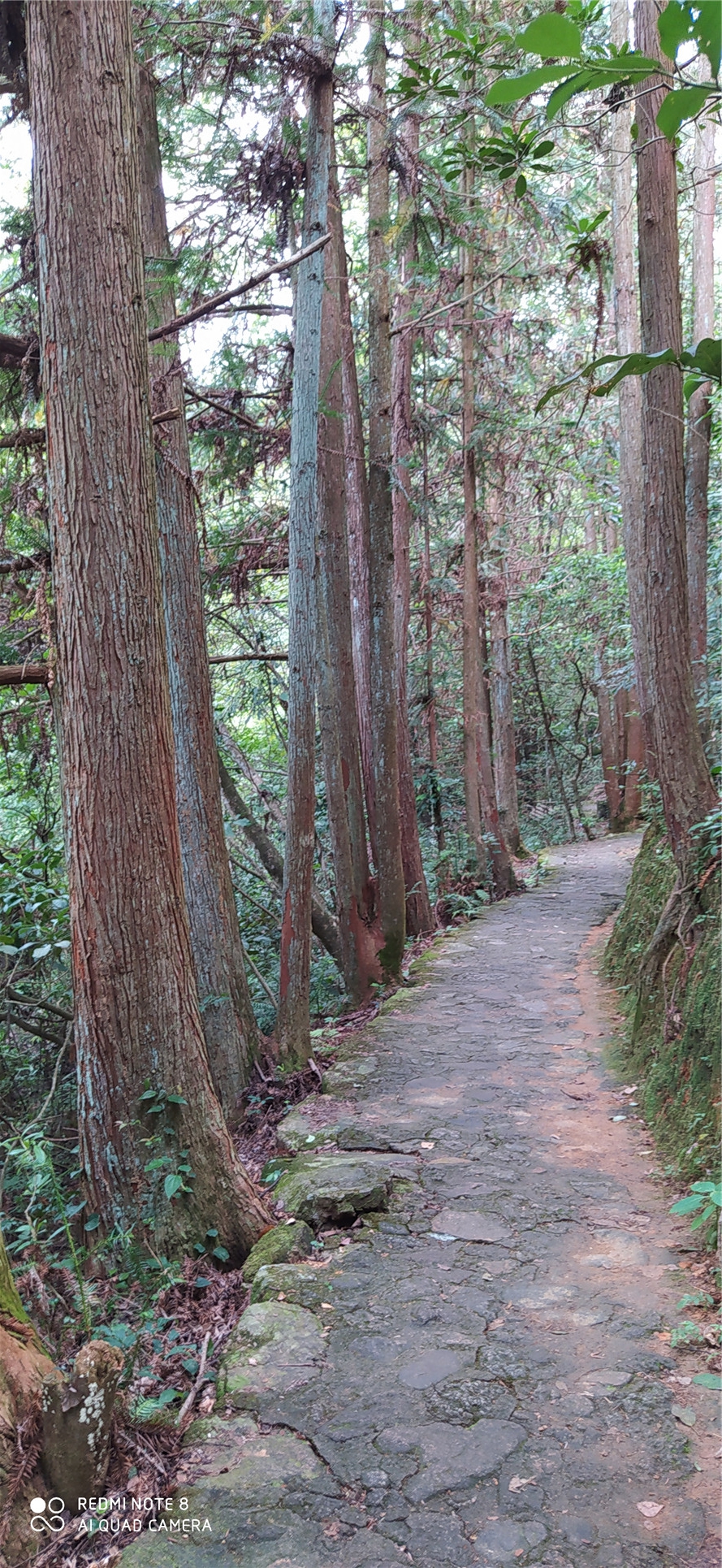 韶关新丰云髻山古城,韶关新丰云髻山游记