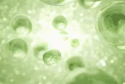 爆款频出的雅顿，原来身体乳也这么好用，抹完皮肤嫩滑自带体香