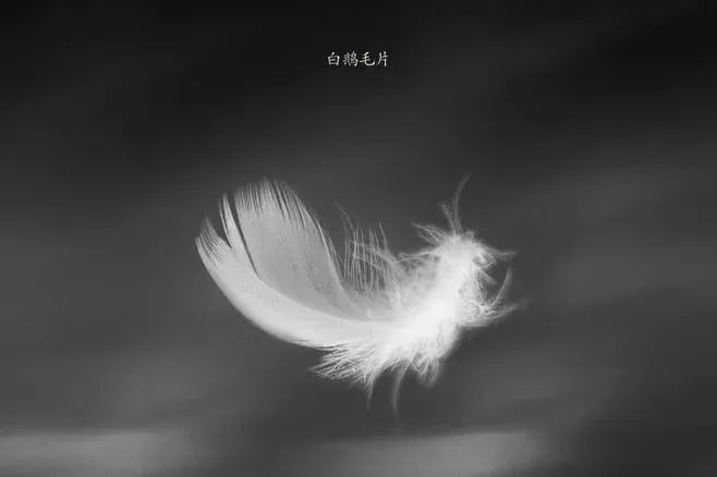 又轻又暖的冬季被子如何,冬季哪种被子最暖和又舒服又蓬松