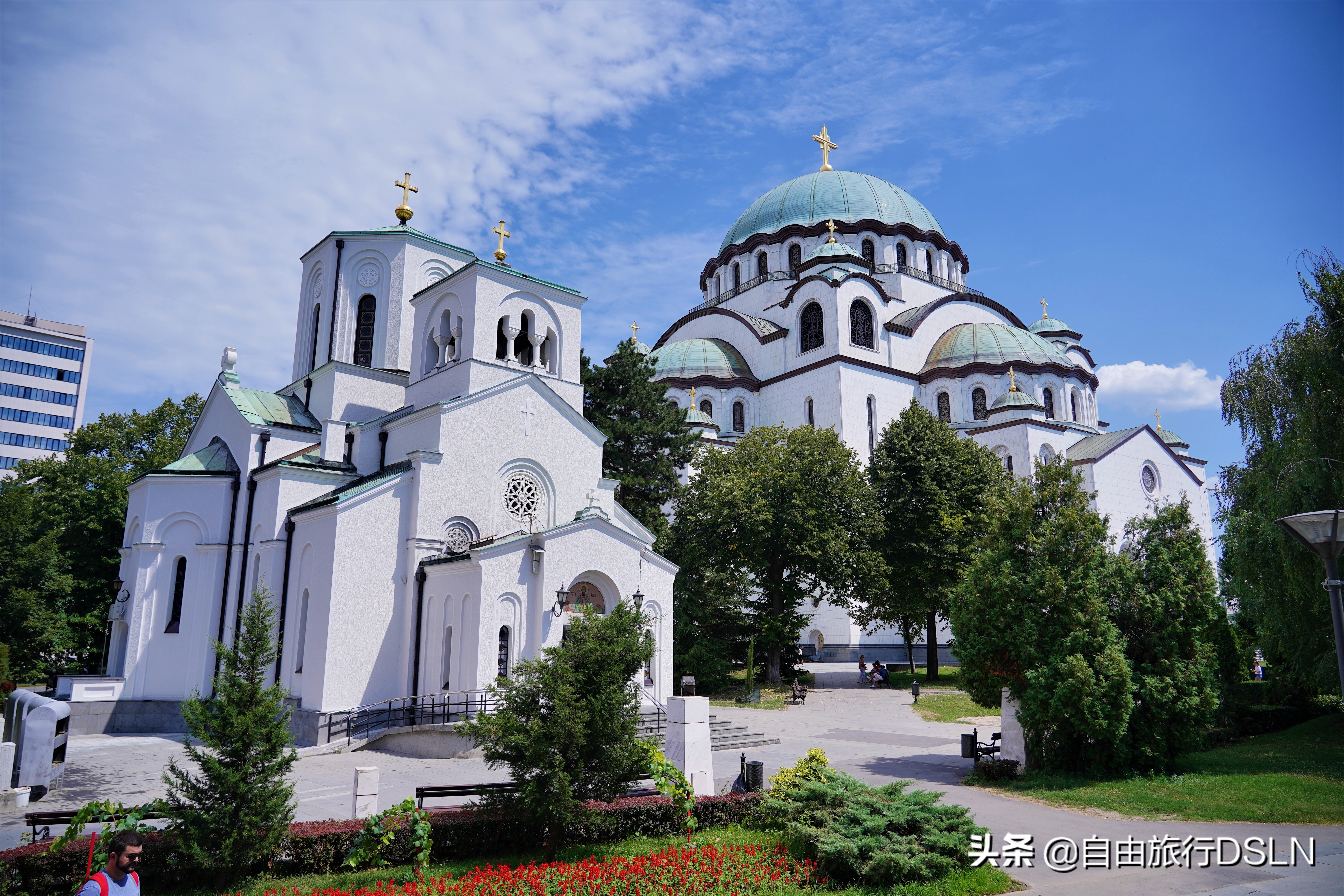 塞尔维亚语起源,塞尔维亚巴尔干之虎的来历