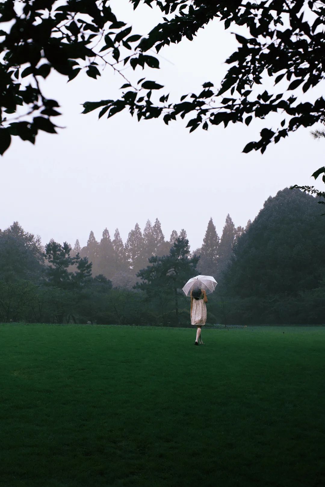 人气最高的女性写真,好看的女生写真推荐