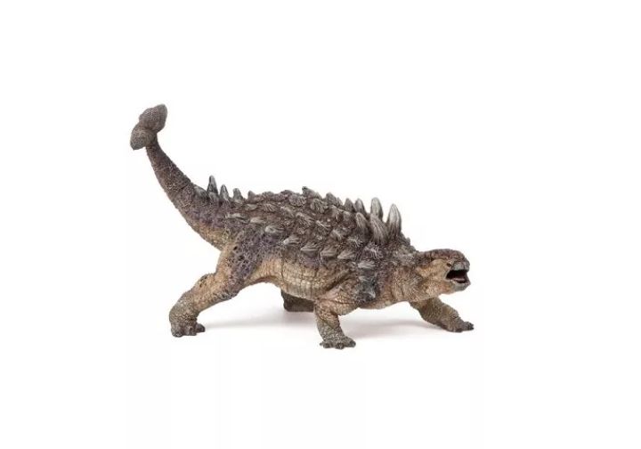 恐龙种类英语介绍甲龙,大型食肉龙英文